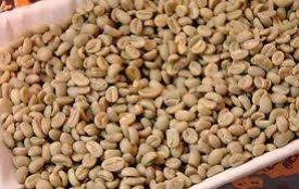 Limu Coffee