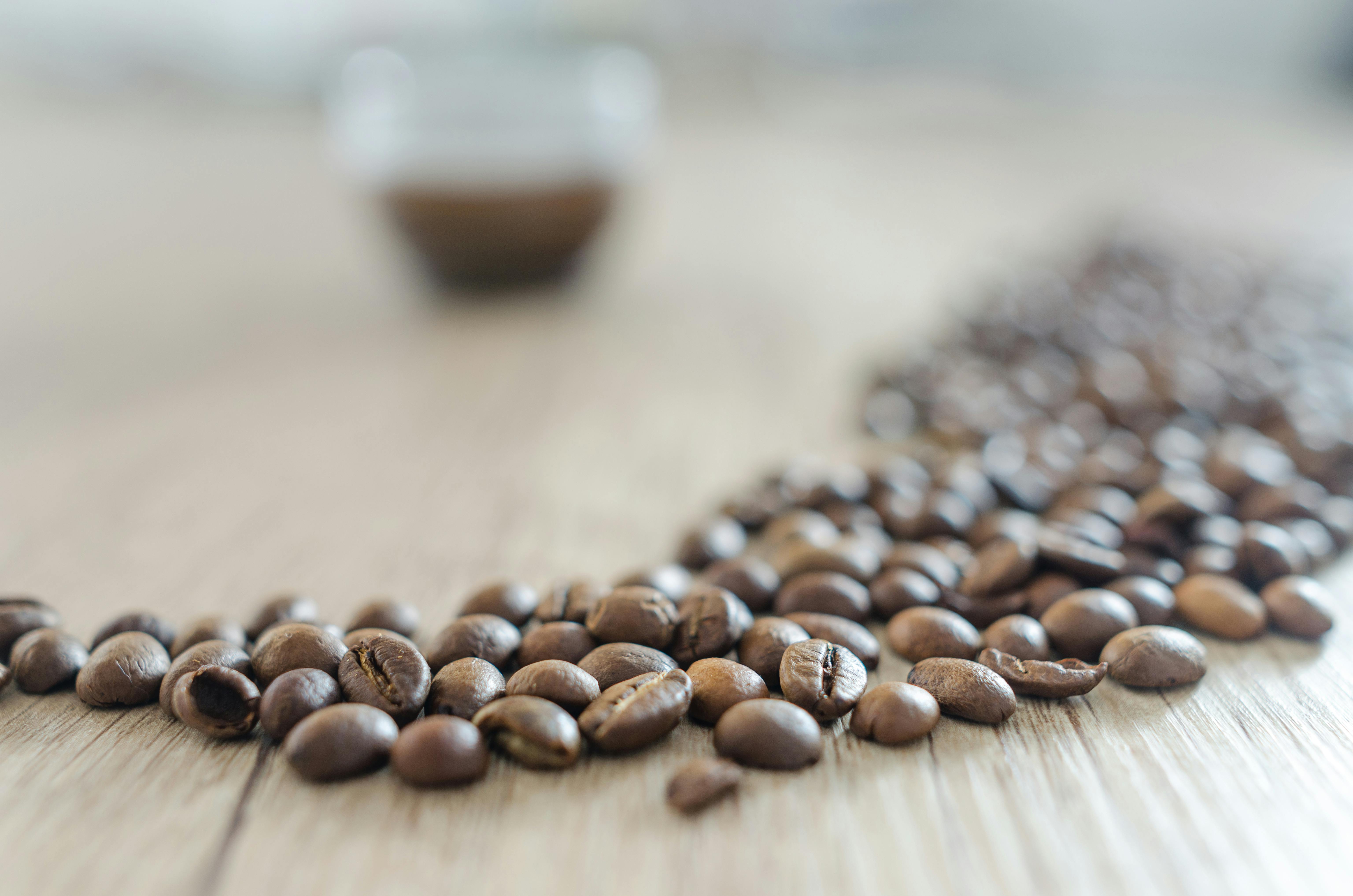 Kaffa Coffee