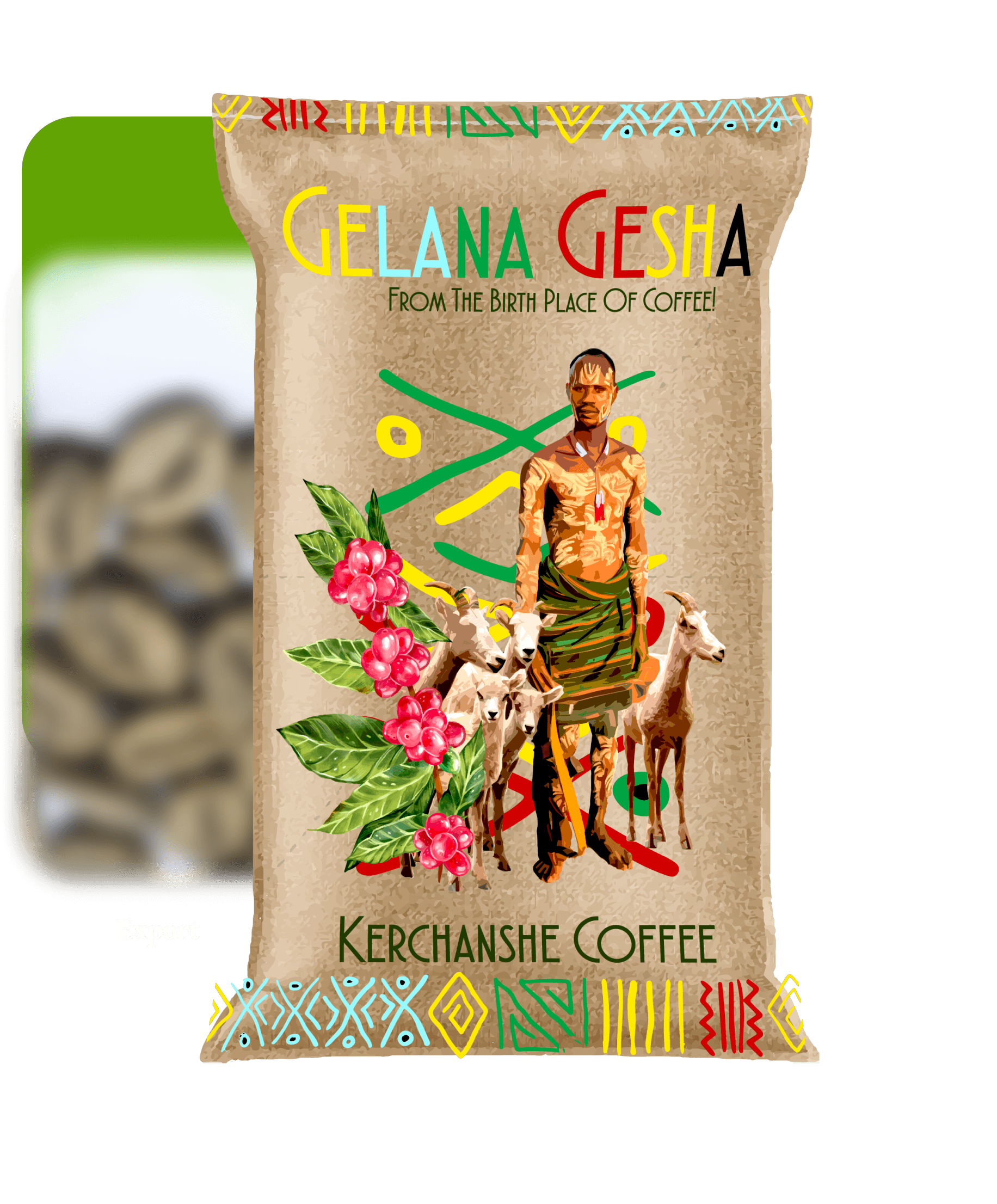 Coffee Processing
