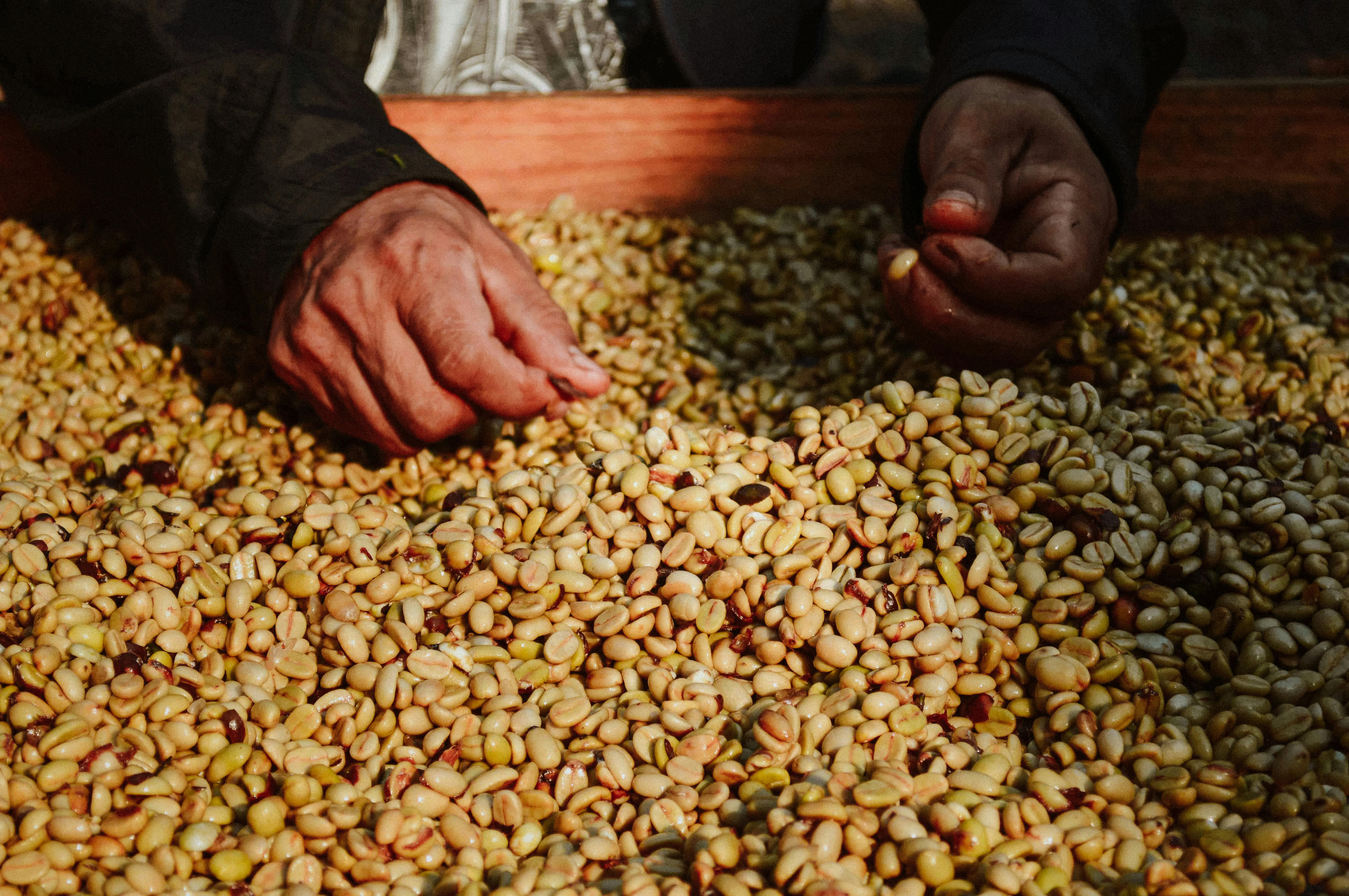 Guji Coffee Region