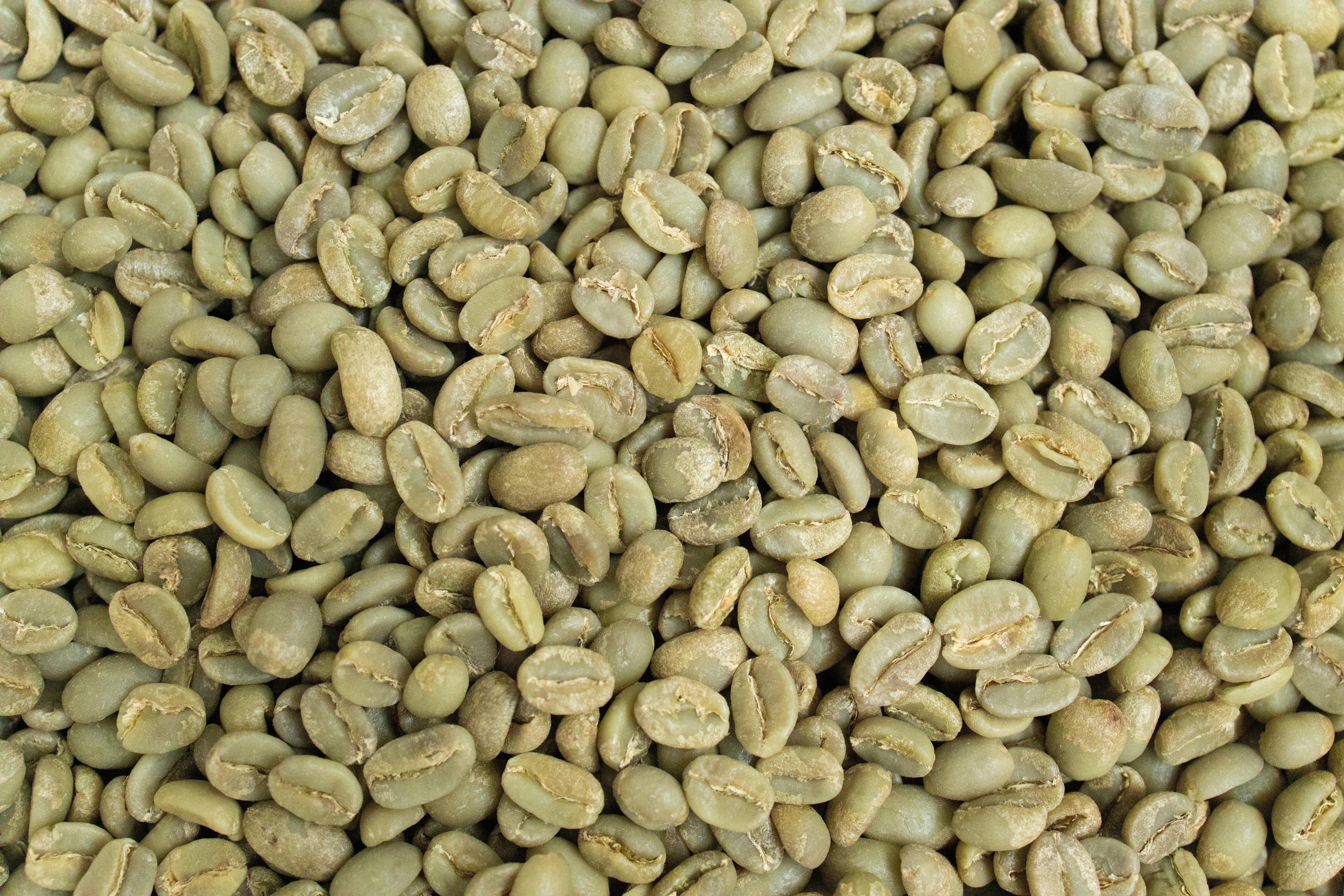 Jimma Coffee Region